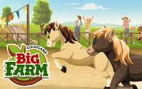 Big Farm Pferde Ranch Turnier Update - Spieler gegen Spieler