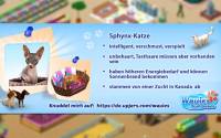 Wauies - Die Sphynx Katze für dein Gehege
