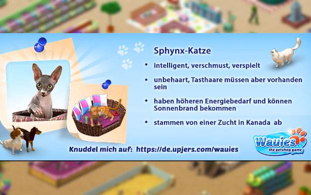 Wauies - Die Sphynx Katze für dein Gehege