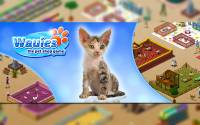 Wauies - Devon Rex & Eurasier sind neu